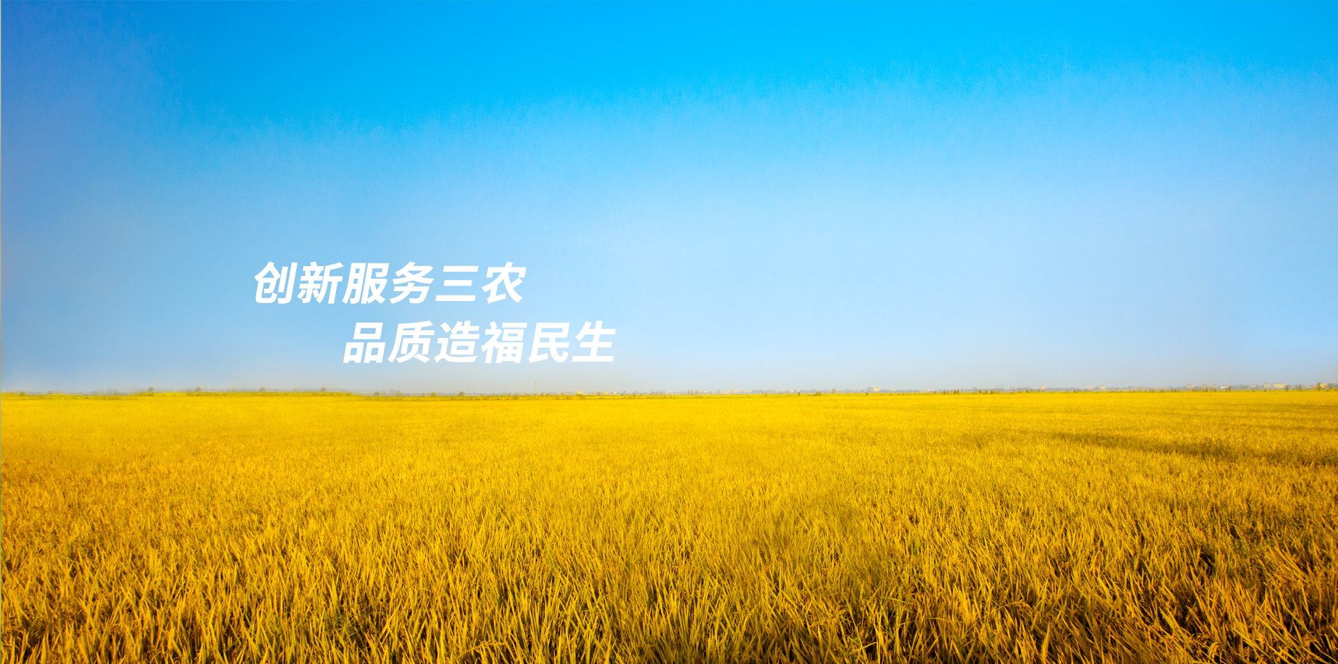 四川省种子协会	