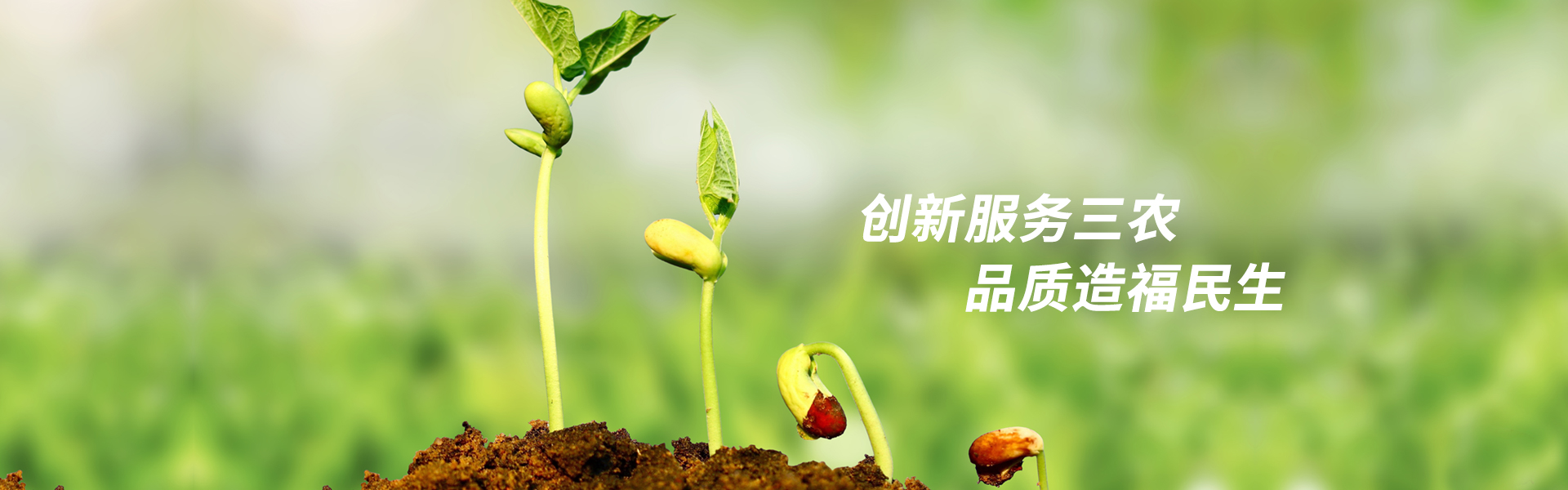四川省种子协会